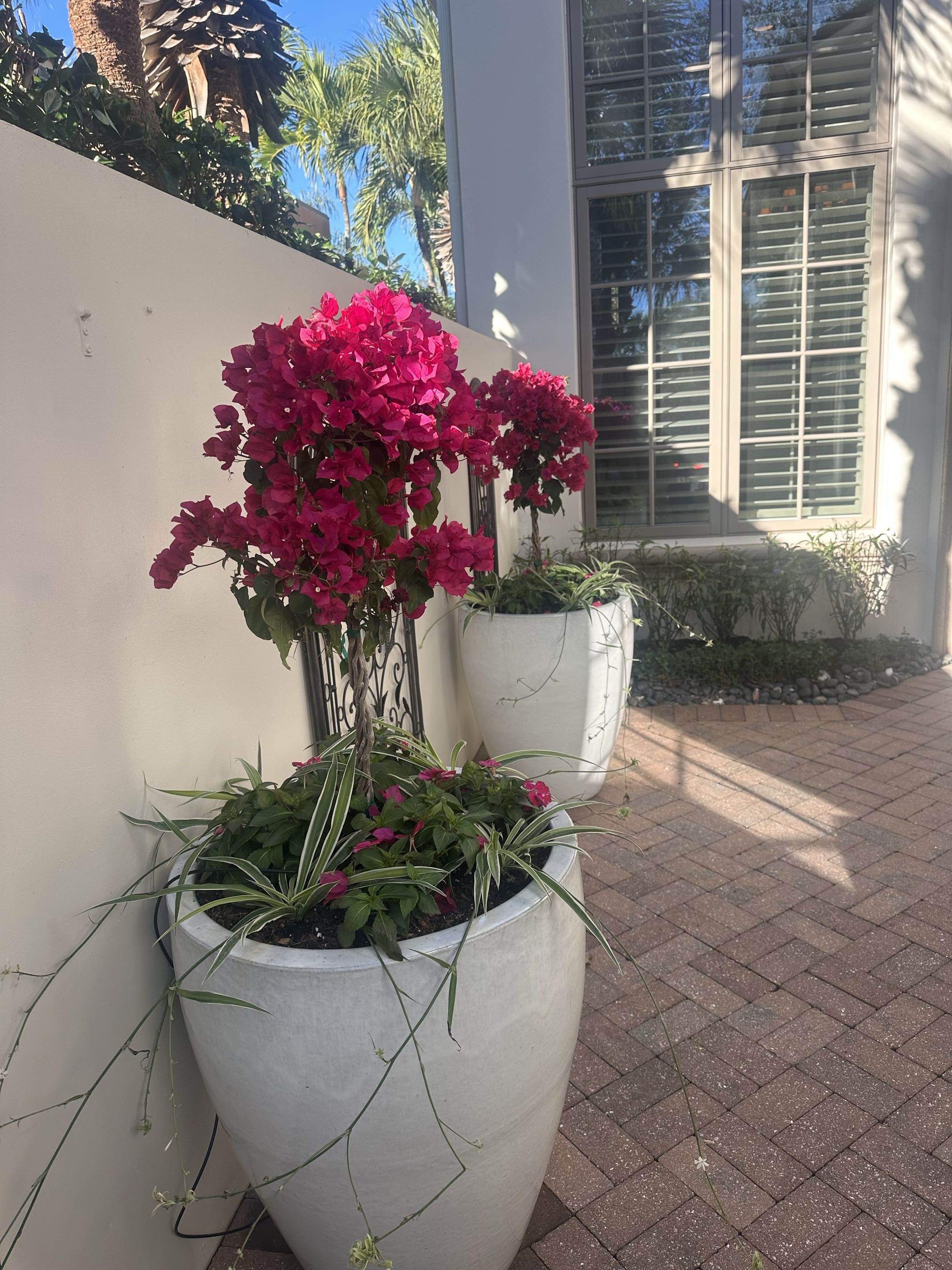 Container Garden Entrance