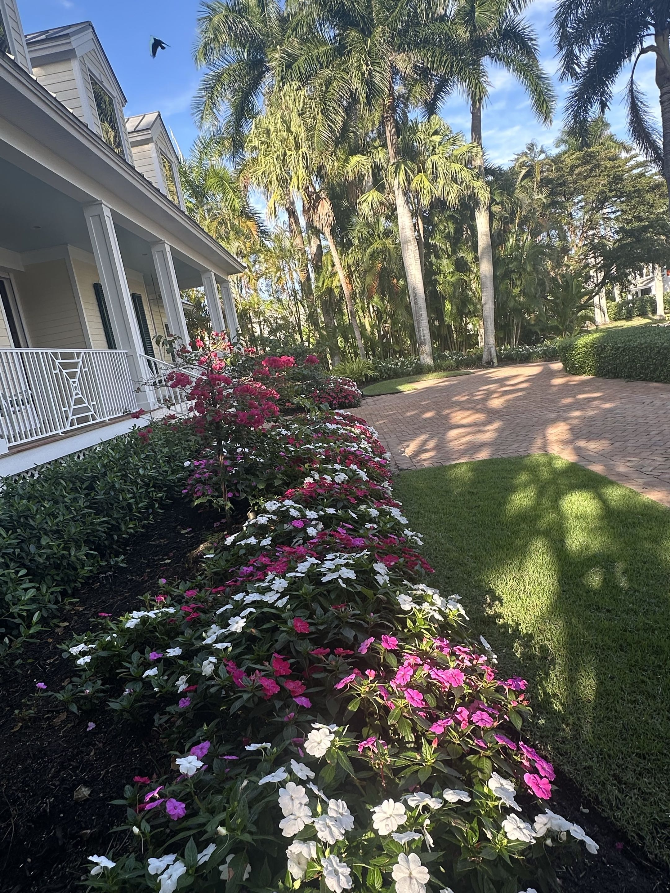 Tropical Garden Oasis